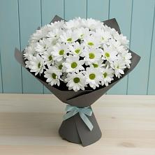 Букет цветов из:  Хризантемы в Гончарку