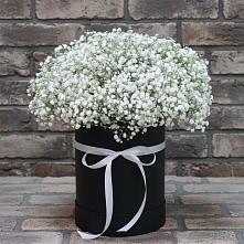 Цветочная композиция из Гипсофила в шляпной коробке #REPLACE_PRED# Гончарку