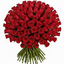 Букет Красные розы Чери Лав в Гончарку