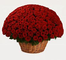 Премиум букет из: Розы в Гончарку